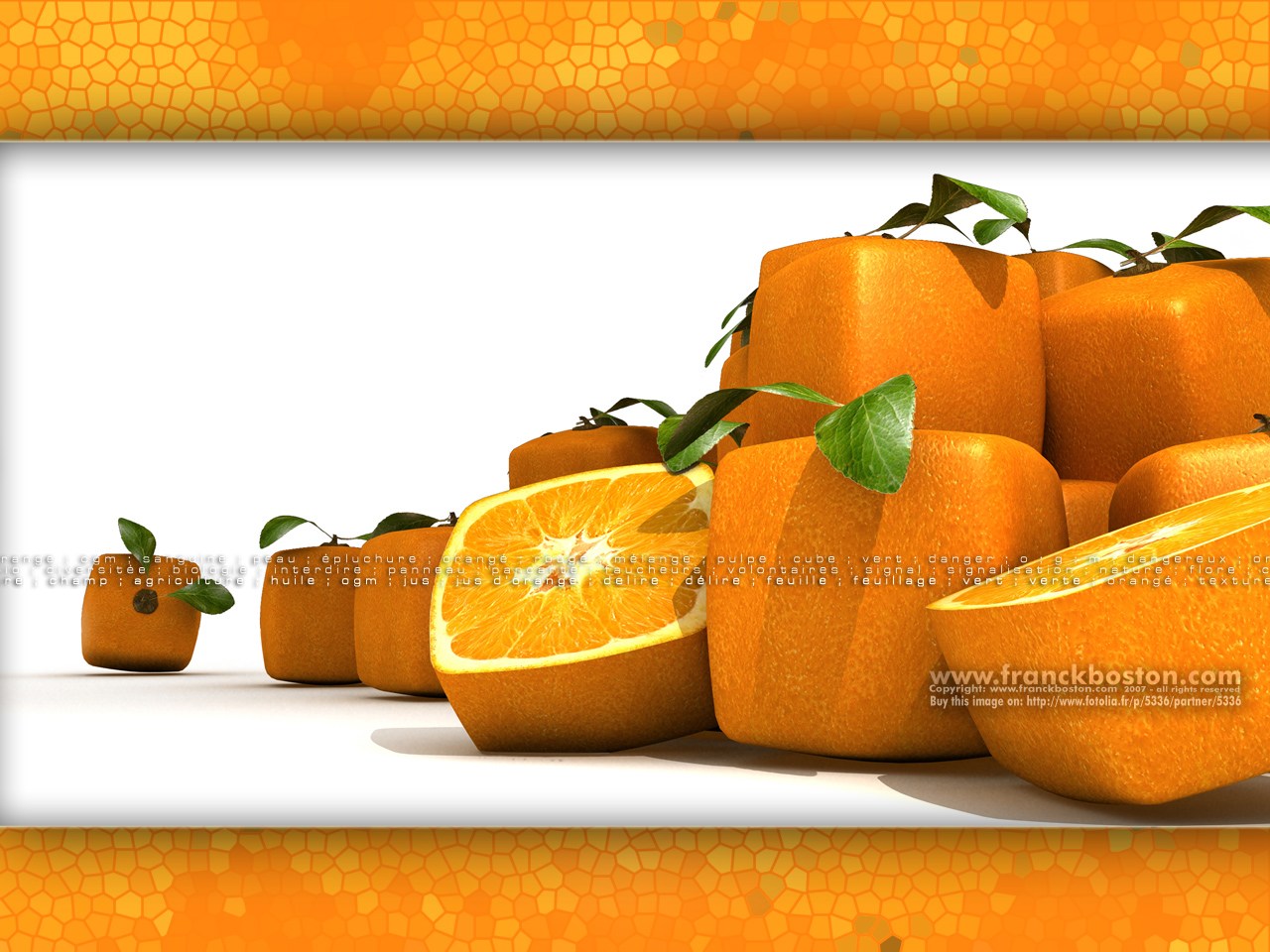 Télécharger Fonds Décran Orange Carrée Gratuitement