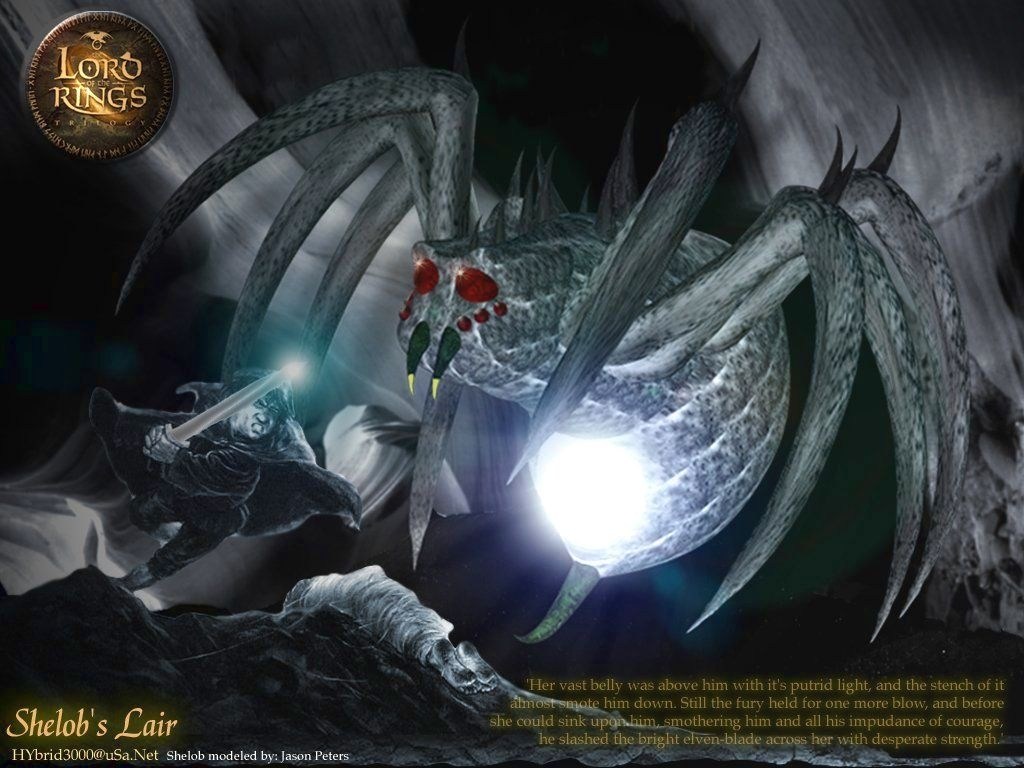 The lord of the rings 1
