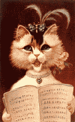 Chat