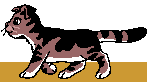 Chat