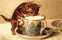 Chat