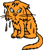 Chat