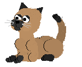Chat