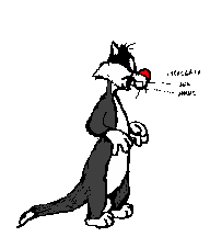 Chat