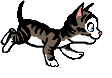 Chat