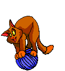 Chat