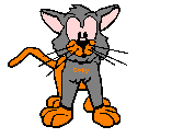 Chat