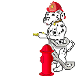 Chien
