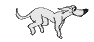Chien