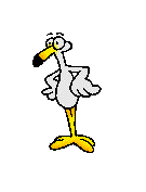 Oiseau