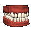 Bouche