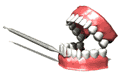 Bouche
