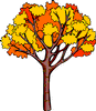 Changement de couleur des feuilles d'arbre